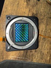 Hasselblad X1D  - 50c - Medium